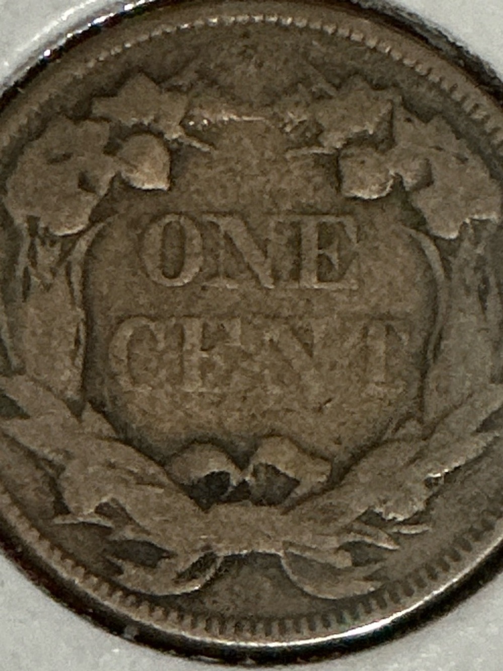 1857 Flying Eagle Cent Coin - Brown - Picture 5 of 5